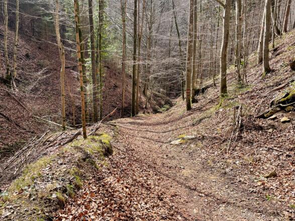 Hirschwaldstein-Trail Micheldorf