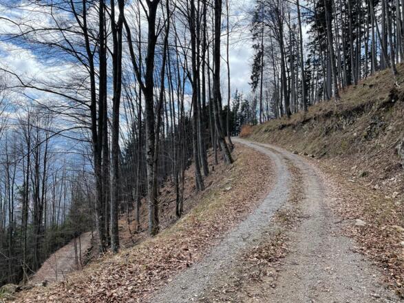 Hirschwaldstein-Trail Micheldorf