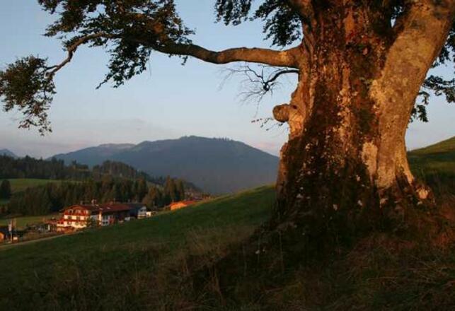 Sonnenuntergang in Jungholz - ein traumhaftes Erlebnis mit Blick auf den Ort und die nähere Umgebung.