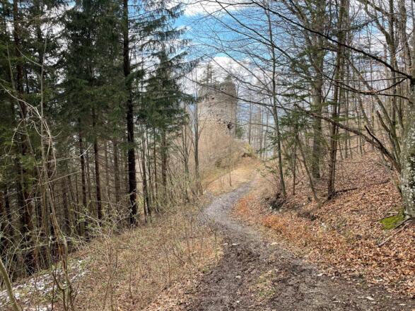 Hirschwaldstein-Trail Micheldorf