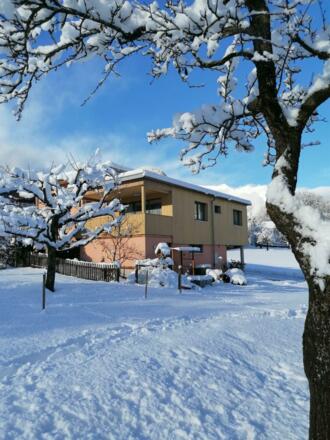 IMG_20201207_104207_resized_20201209_092952658