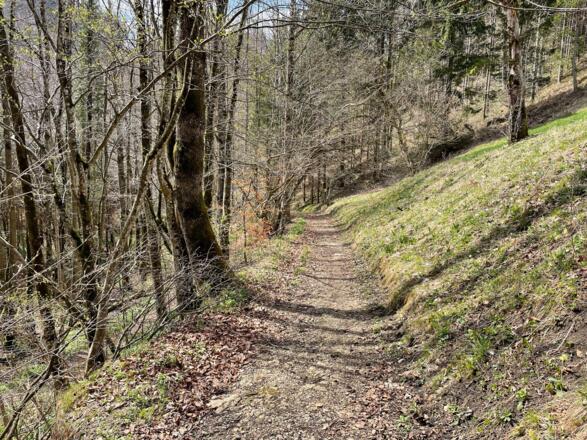 Hirschwaldstein-Trail Micheldorf