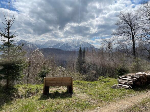 Hirschwaldstein-Trail Micheldorf