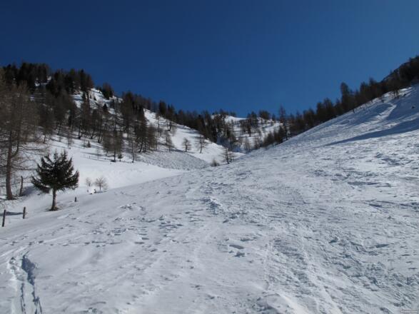 Tscharniedalm