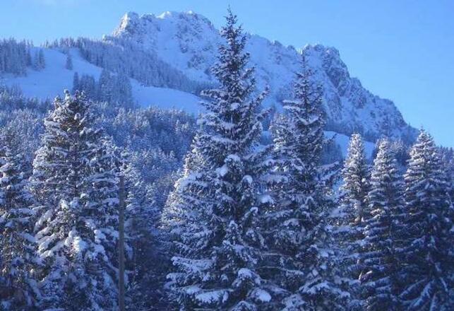 Ausblick auf den Sorgschrofen und das Skigebiet
