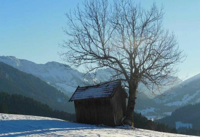 Haus Jörg    Kräutervermieter
