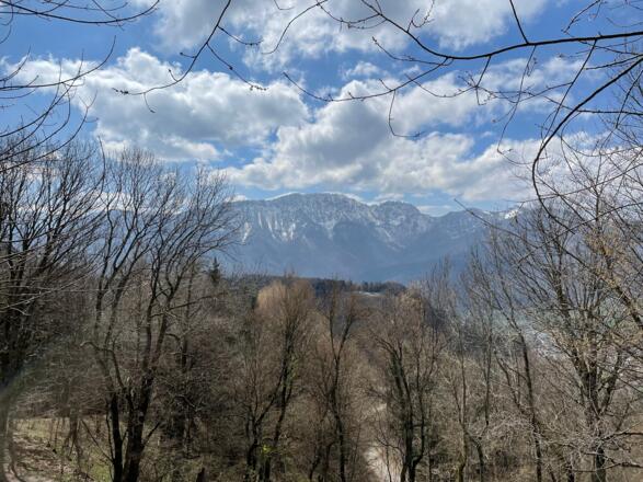 Hirschwaldstein-Trail Micheldorf