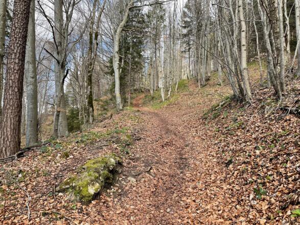 Hirschwaldstein-Trail Micheldorf