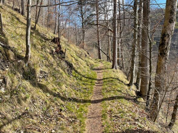 Hirschwaldstein-Trail Micheldorf