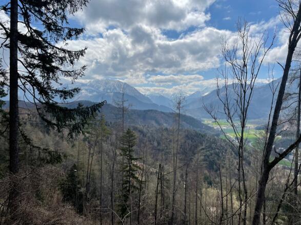 Hirschwaldstein-Trail Micheldorf