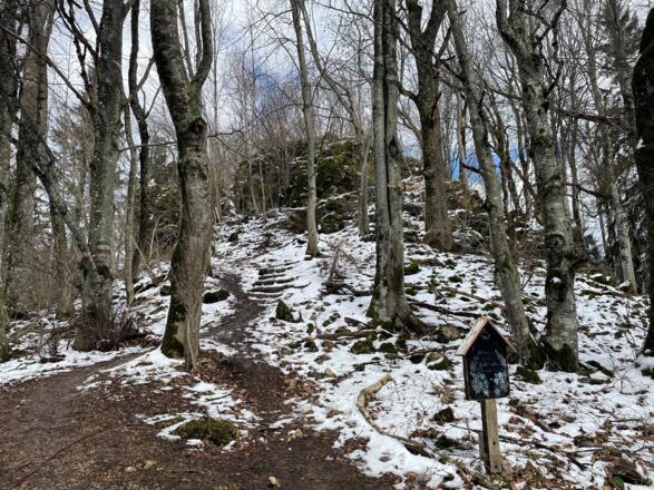 Hirschwaldstein-Trail Micheldorf