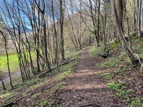 Hirschwaldstein-Trail Micheldorf
