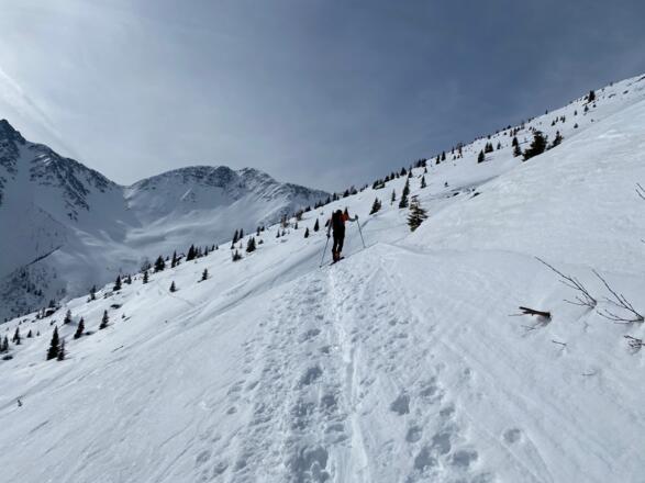 Beim Anstieg nutzt man die breiten Osthänge gut aus. Hinten das Winkler Joch, welches die Grenze markiert.