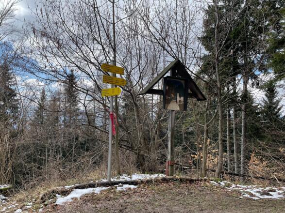 Hirschwaldstein-Trail Micheldorf
