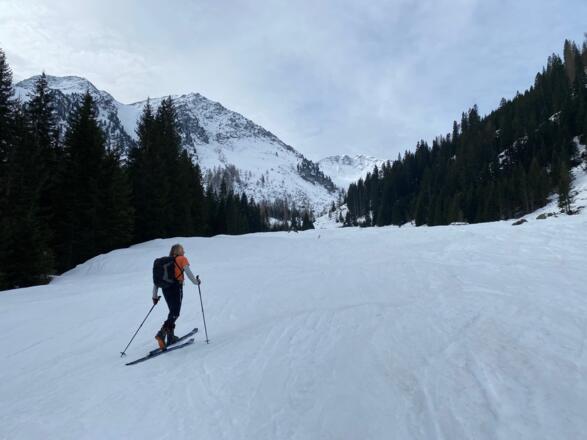 Gleich nach der Gartlhütte betritt man eine weite baumfreie Fläche.