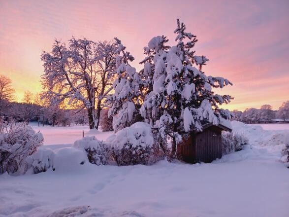Biohof Oberlinner im Winter