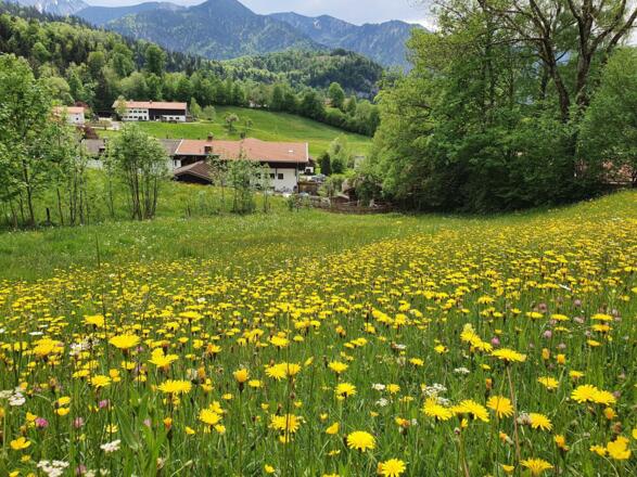 unser Haus im Frühling