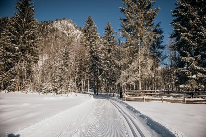 Loipe durch Schönenbach
