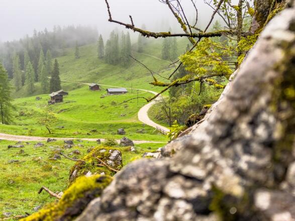 Blick auf die Gotzentalalm