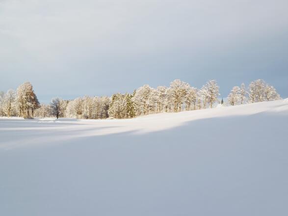Biohof Oberlinner im Winter