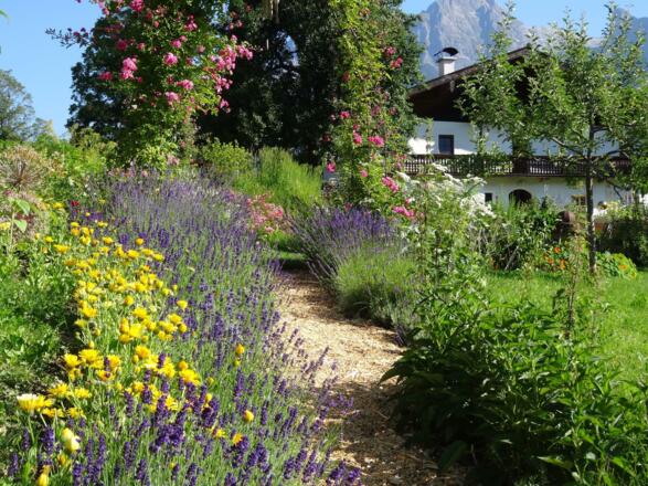 Obersteghof Garten