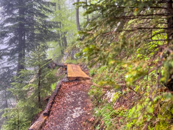 Schöner Wegabschnitt im Bergwald