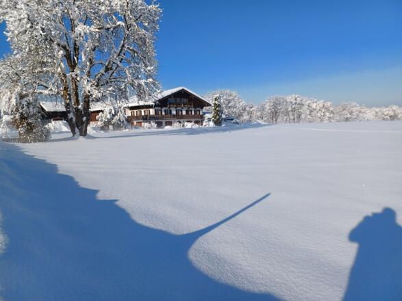 Biohof Oberlinner im Winter