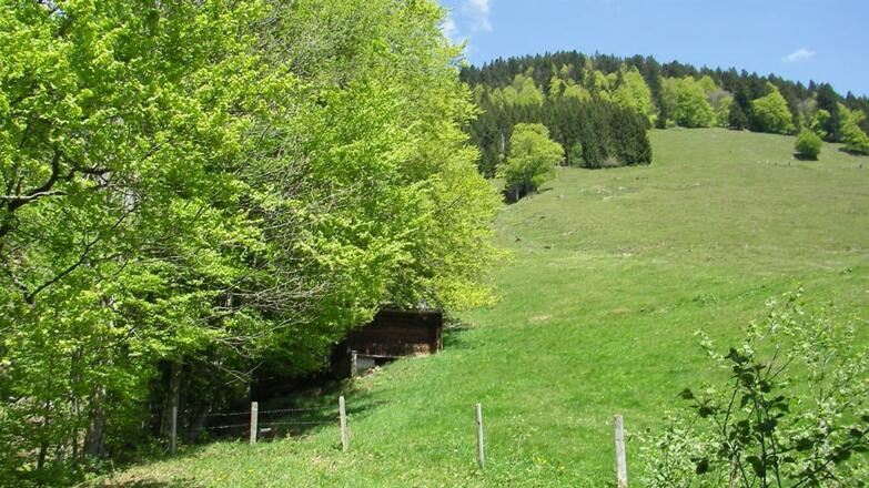 Ausblick hinterm Haus