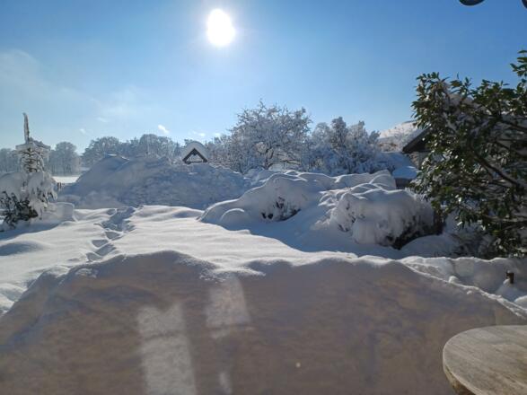 Biohof Oberlinner im Winter