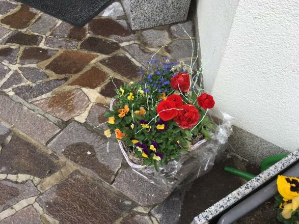 Frühling