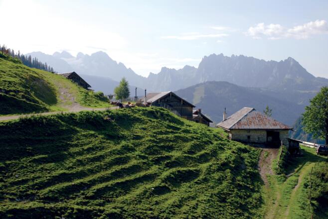 Rinnbergalm Russbach Wandern