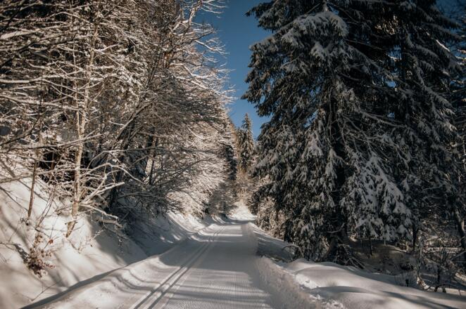Loipe durch Schönenbach