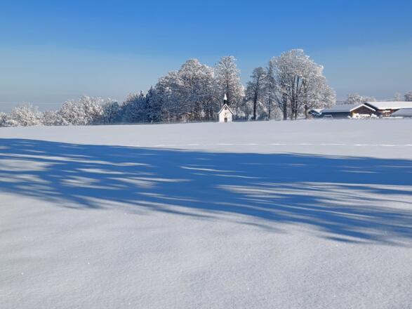 Biohof Oberlinner im Winter
