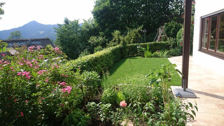die sonnige Terrasse
