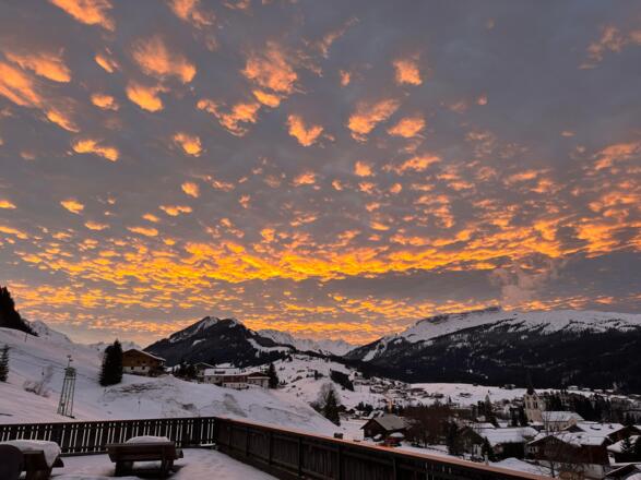 20231223_153616361_iOS