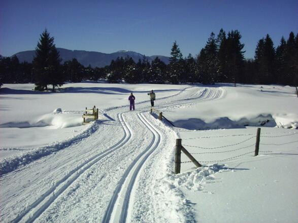 Langlaufloipe Seenrunde