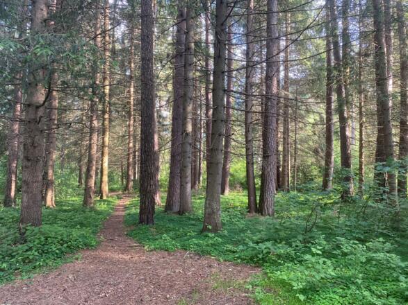 Längenfelder Dorfrunde