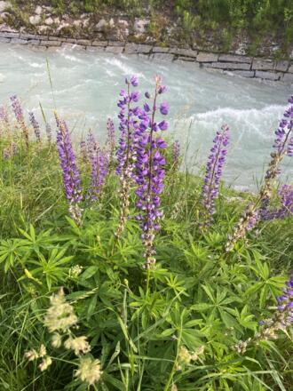 Längenfelder Dorfrunde