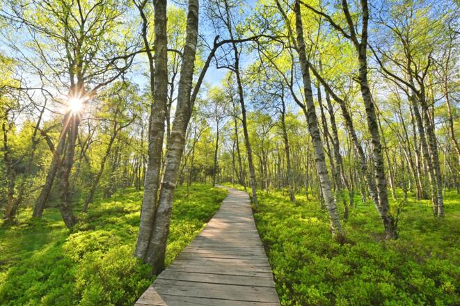 Extratour Rotes Moor