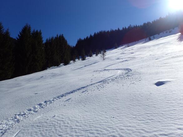 Im unteren Teil der Nordwestflanke