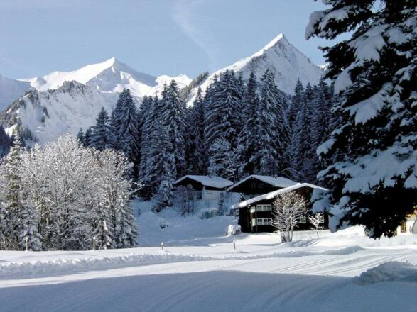 Kleinwalsertal Boedmen Rolf Koeberle (c) Rolf Koeb