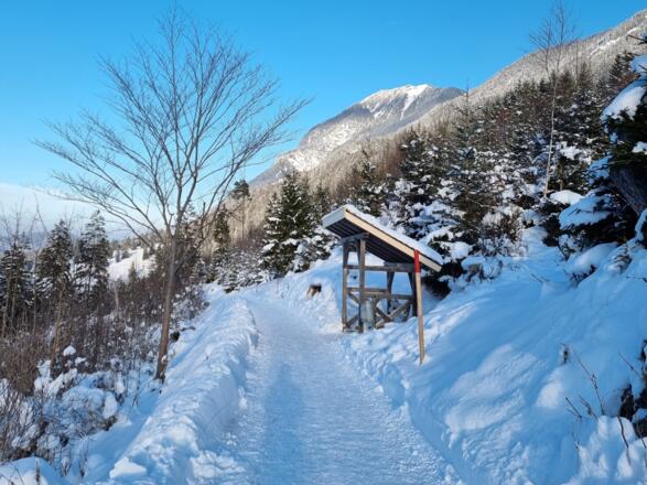Philosophenweg im Winter
