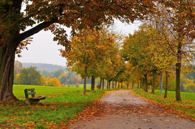 Herbst auf dem Weg zum Gut Dietlhofen in Weilheim