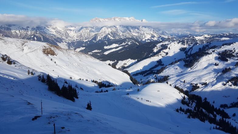 Der Blick in den Handlergrund