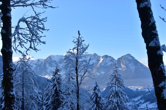 Zur_Stubenalm_50