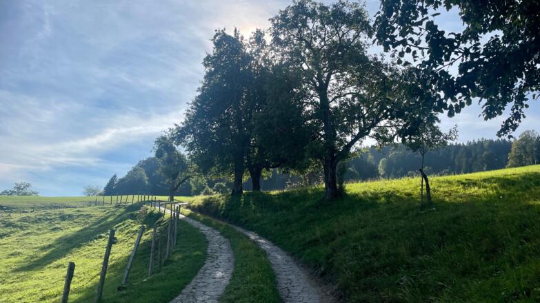 L3 Sandluckengraben Trail