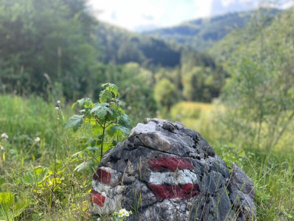 L3 Rinnerberger Trail