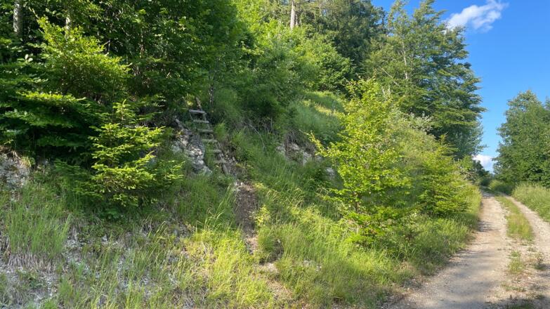 L3 Rinnerberger Trail