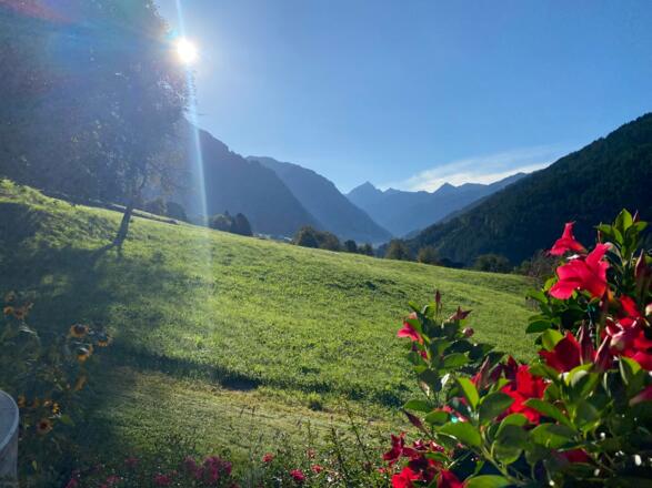 Morgensonne auf die Terrasse