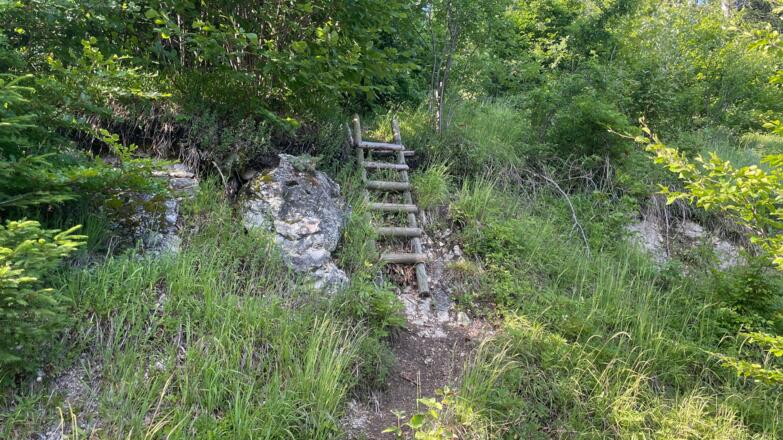 L3 Rinnerberger Trail